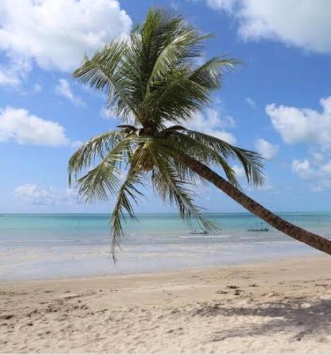 Pousada Porto Jambo Porto de Galinhas Bagian luar foto